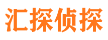 迎江市侦探公司